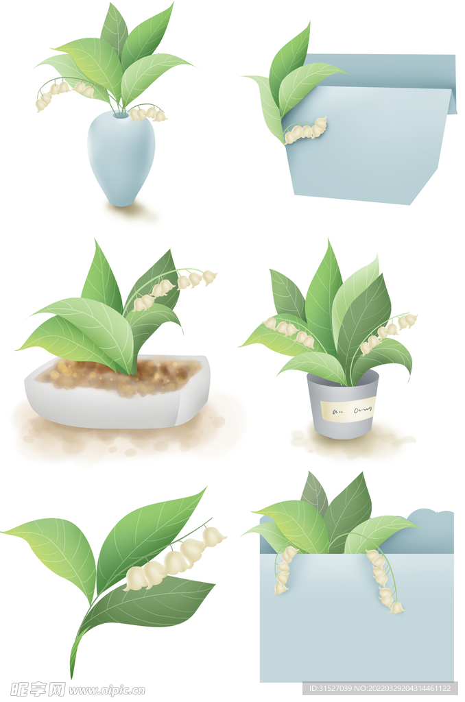 一组郁金香插画