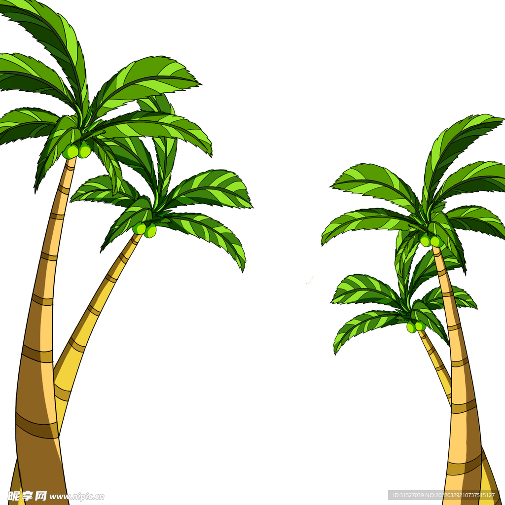 椰树插画