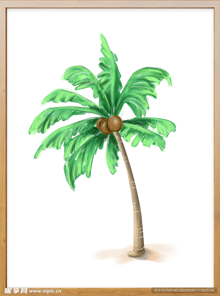 椰树插画样机