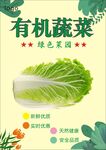 白菜海报