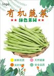 豆角海报