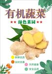 生姜海报