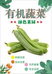 丝瓜海报
