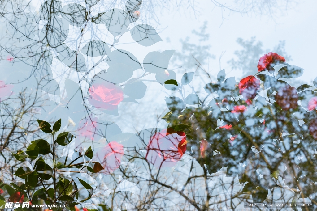 花