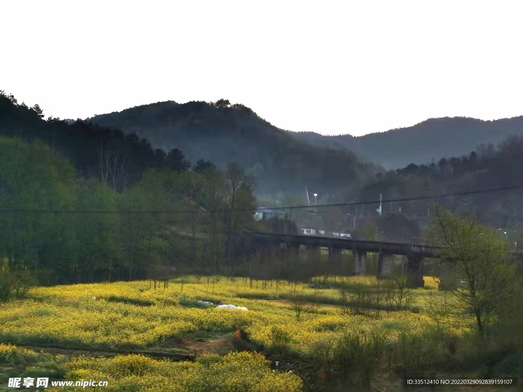 信阳新县的田野