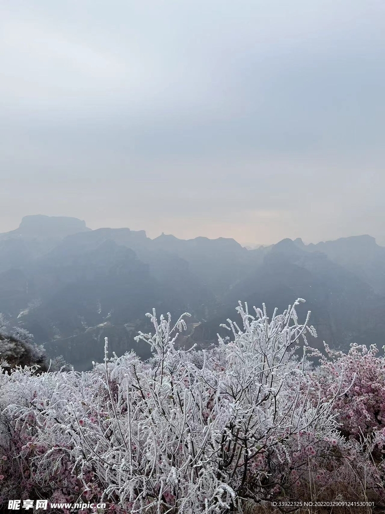 风景