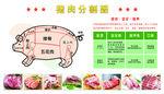 猪肉分割
