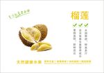 榴莲海报