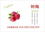 树梅海报