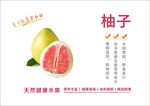柚子海报