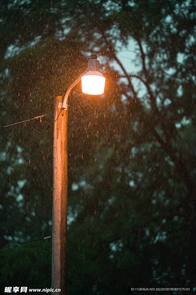 雨中路灯摄影
