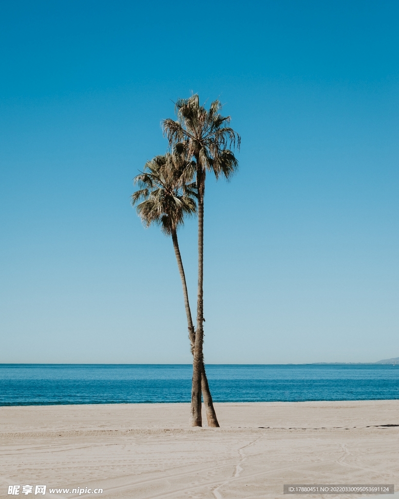 海边