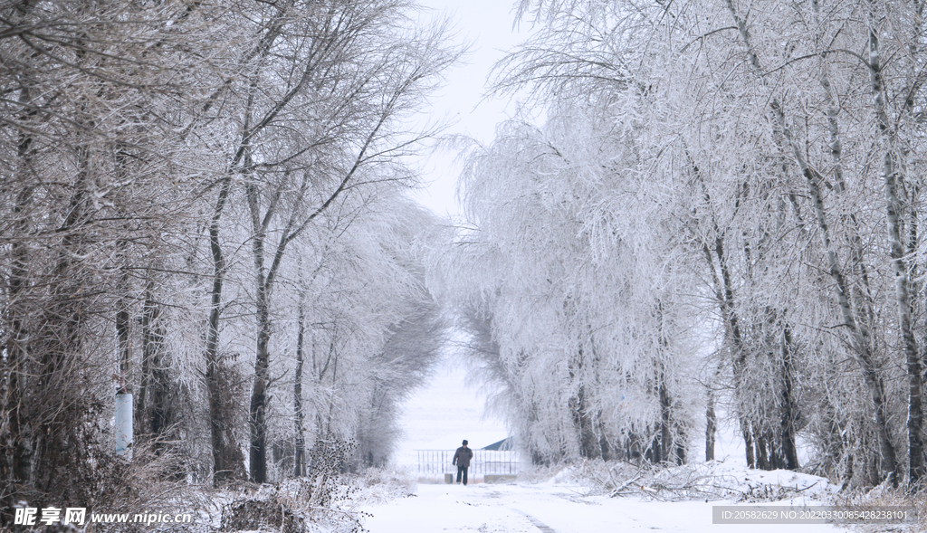 冰雪路