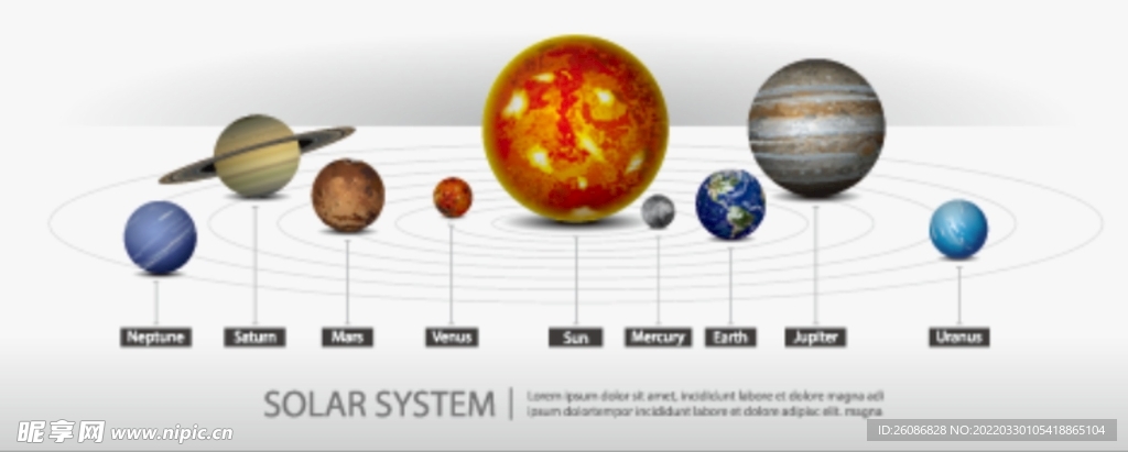 太阳系行星关系矢量插画