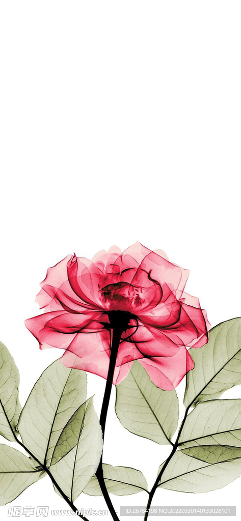 抽象 线条 底纹 素材 高端 