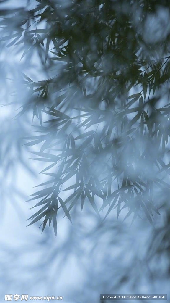 抽象 线条 底纹 素材 高端 