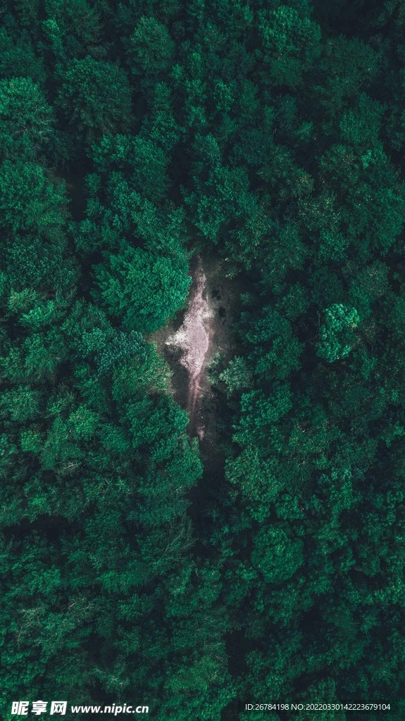 抽象 线条 底纹 素材 高端 