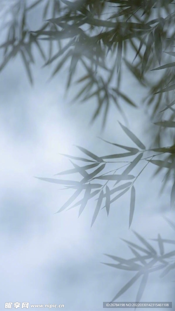 抽象 线条 底纹 素材 高端 