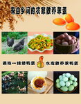 门贴海报