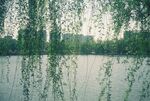 春天背景 