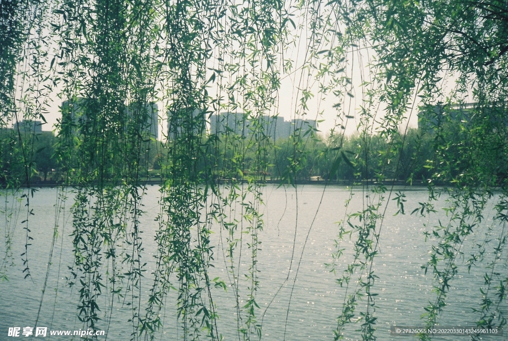 春天背景 