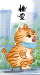  萌主猫           