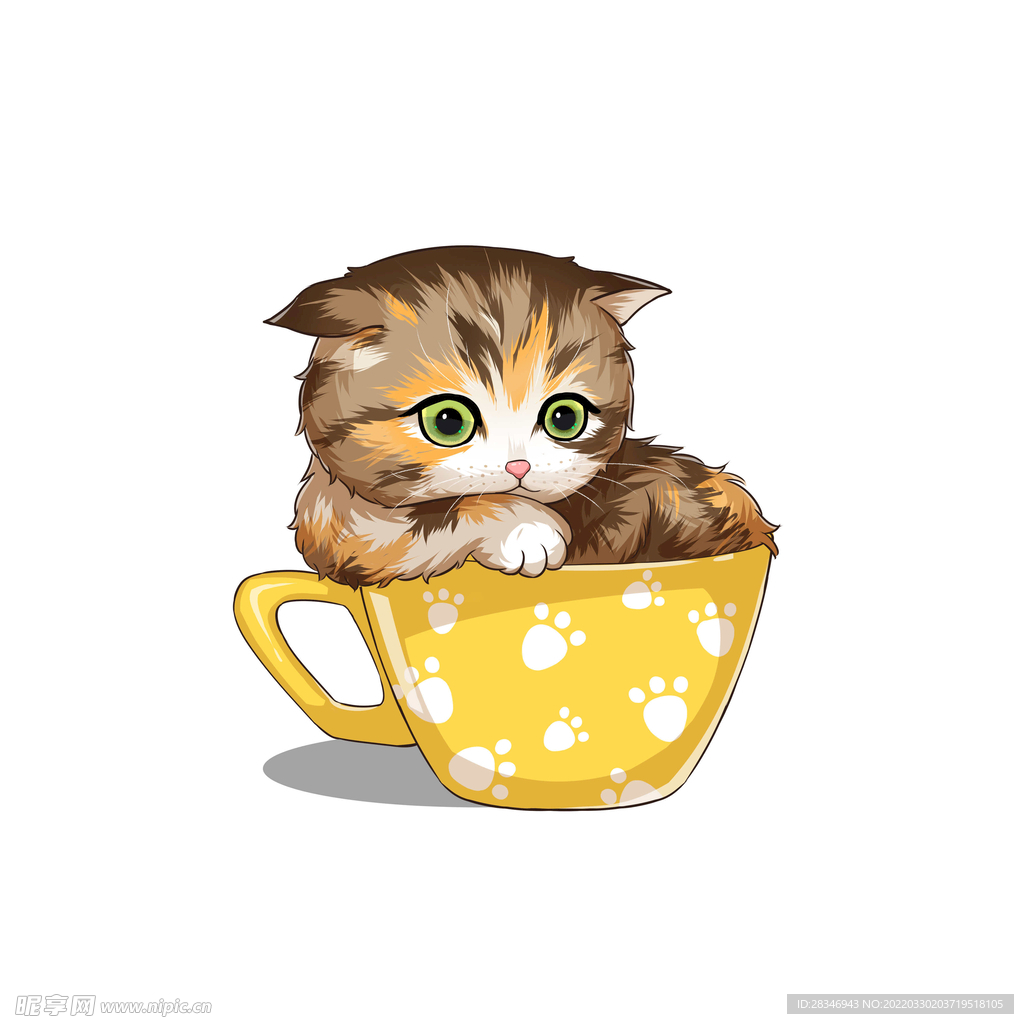 茶杯猫            