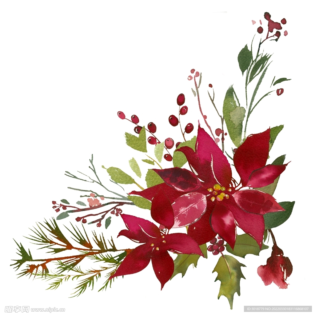 花卉组合 