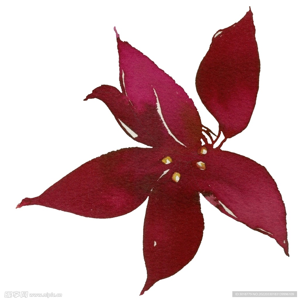 花卉组合 
