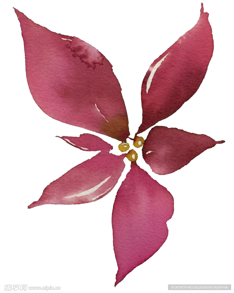 花卉组合 