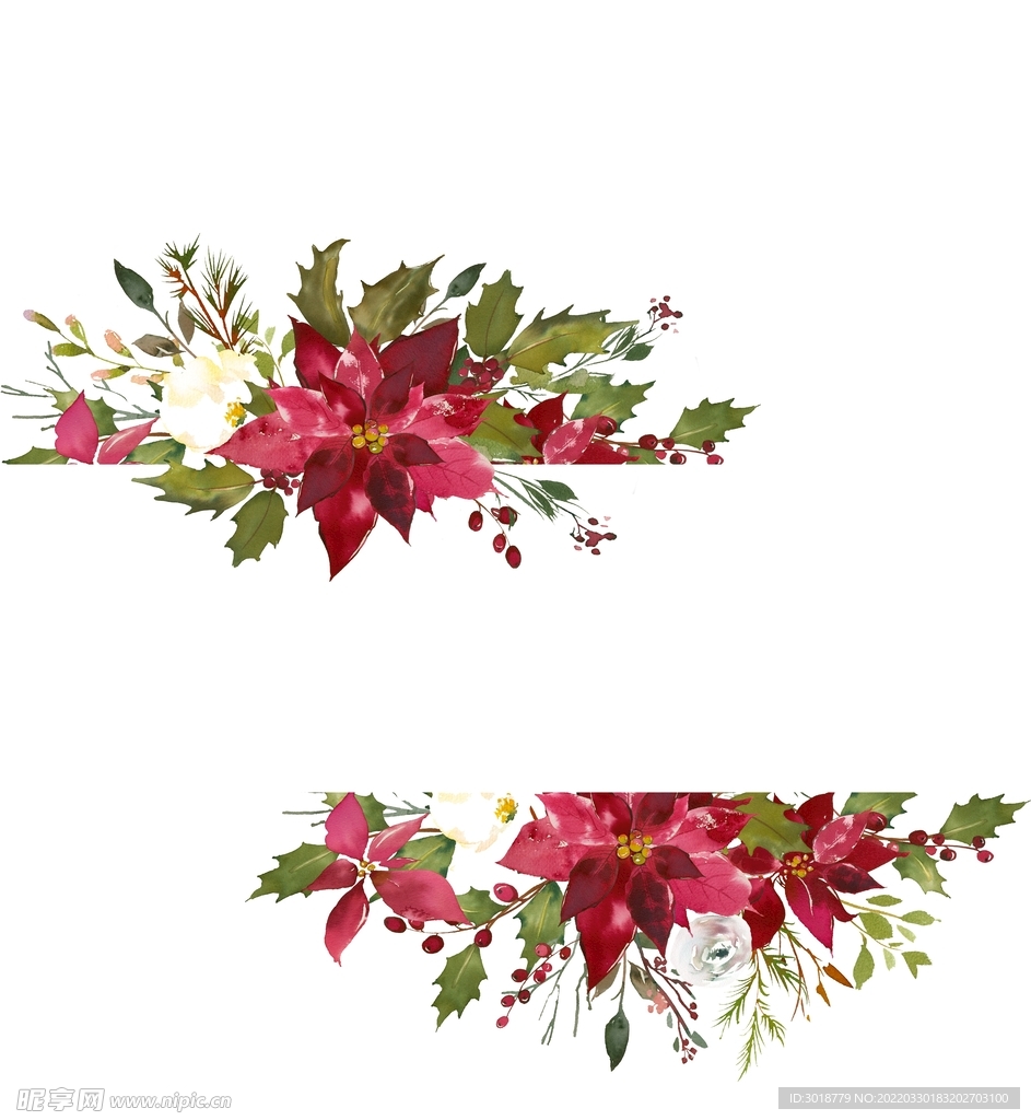 花卉组合 