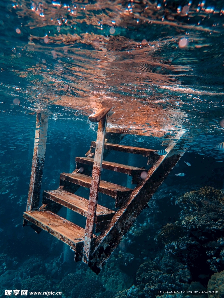 户外海水楼梯