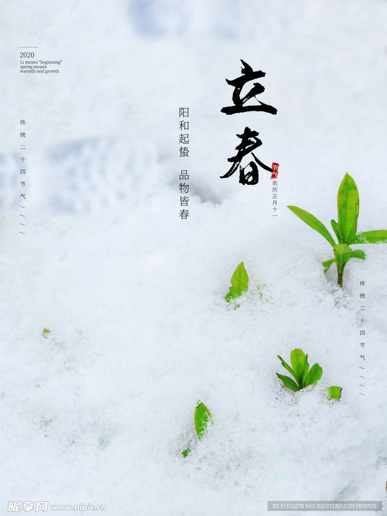立春插画图片