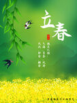 立春插画图片