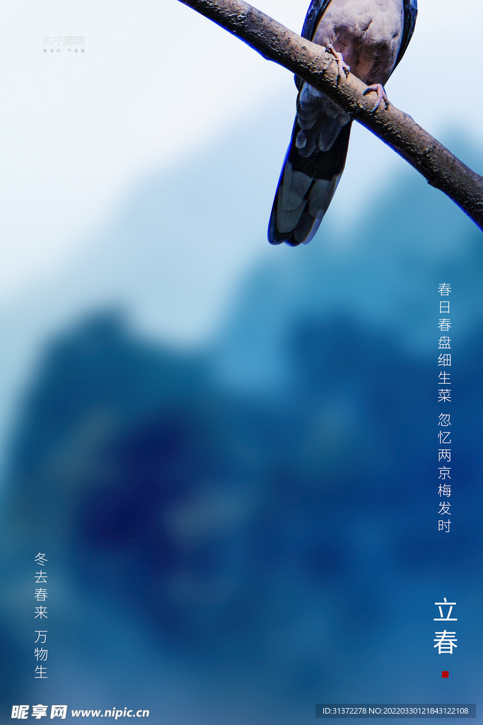 立春插画图片