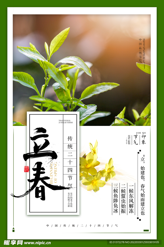立春插画图片