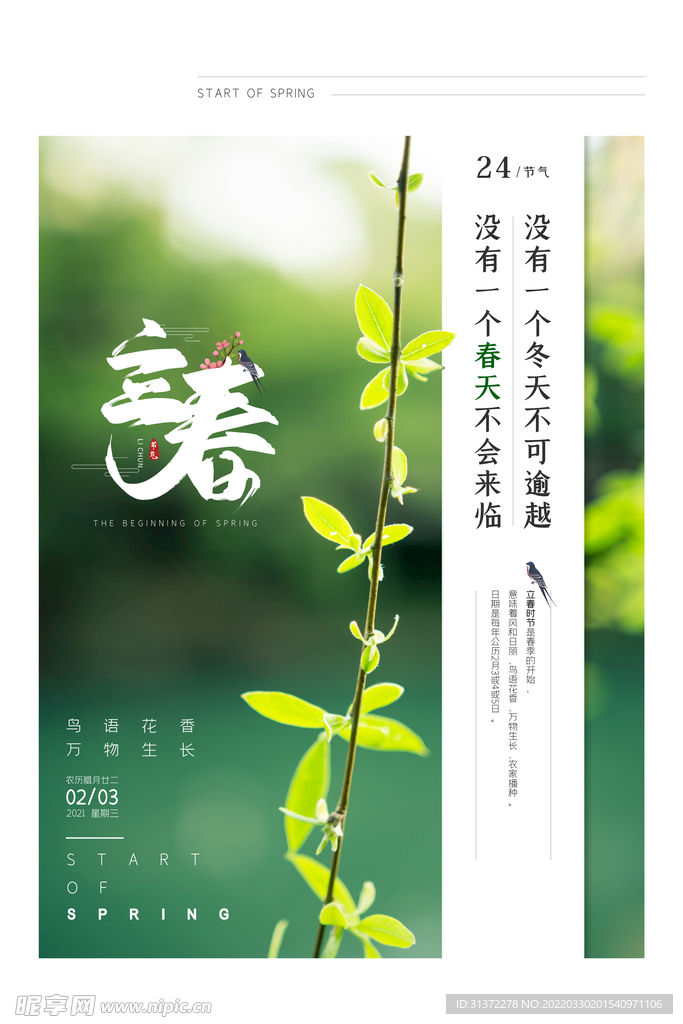   立春插画图片