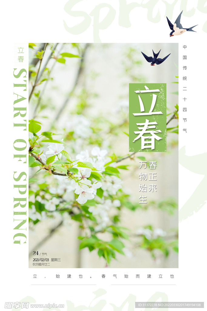   立春插画图片