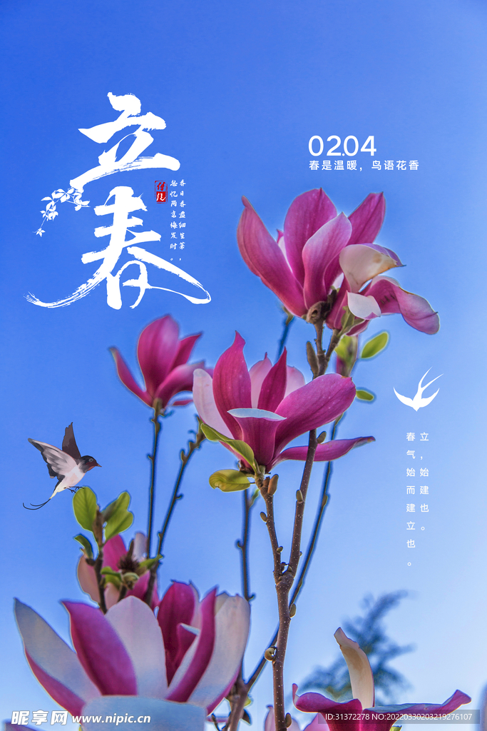   立春插画图片