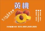 黄桃海报