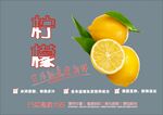 柠檬海报