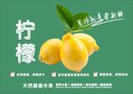 柠檬海报