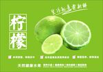 柠檬海报