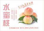 水蜜桃海报