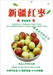 冬枣海报
