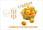 杏海报