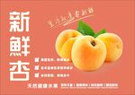 杏海报