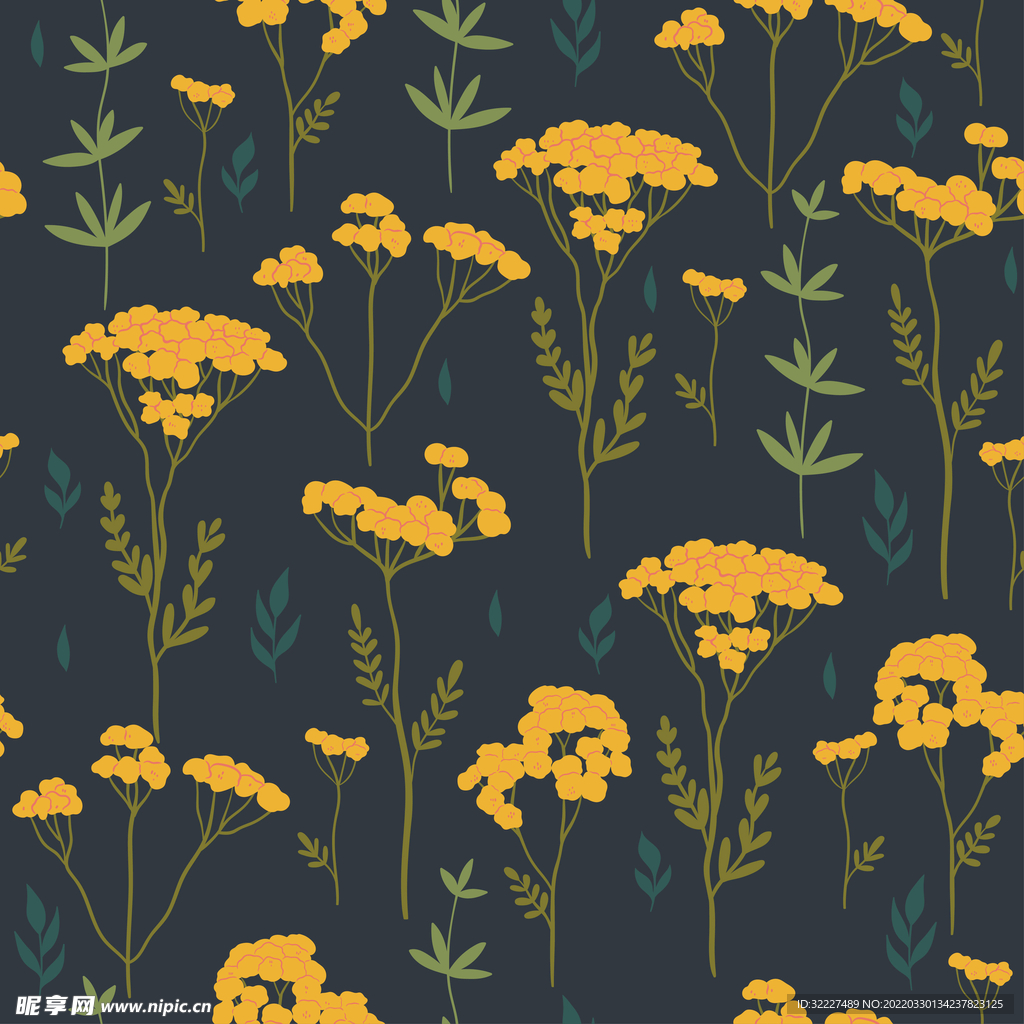 小菊花