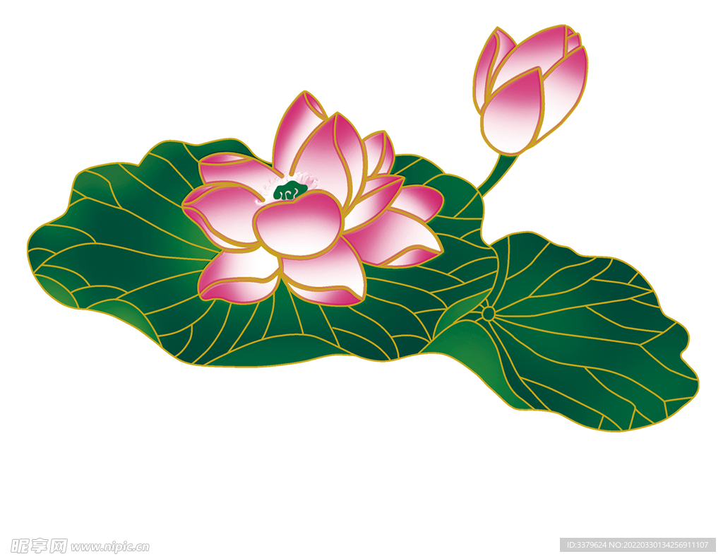 荷花