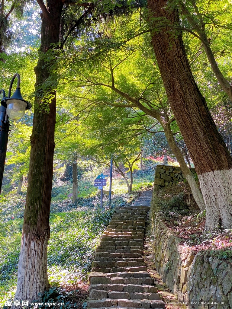 莫干山山路